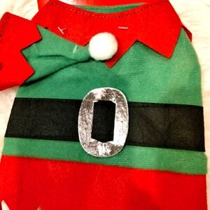 Santa's Little Helper pet elf costume with hat